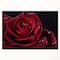Designart - Red Rose with Raindrops on Black - Flowers Framed Canvas Wall Artwork